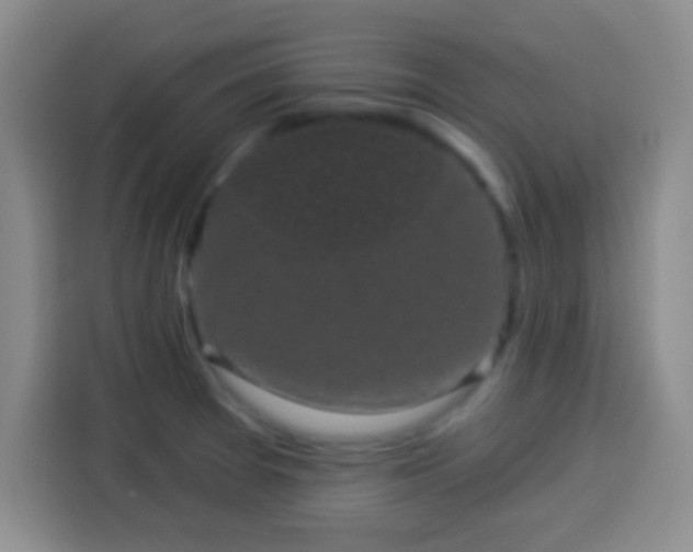 X0000113941377200910021254