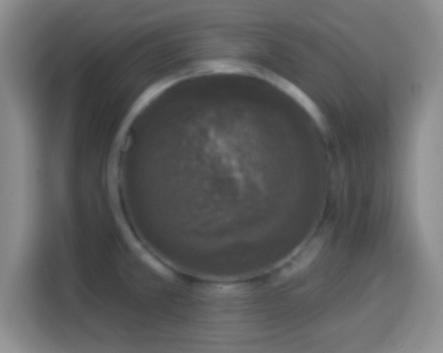 X0000113941381200910021253