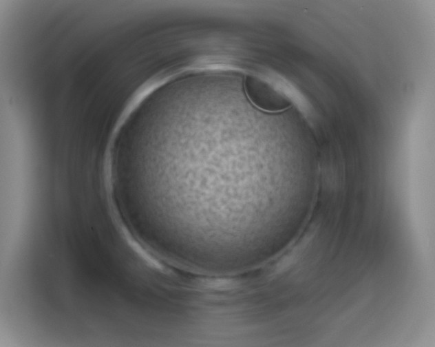 X0000113941382200910021253