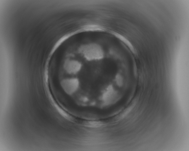 X0000113941383200910021253