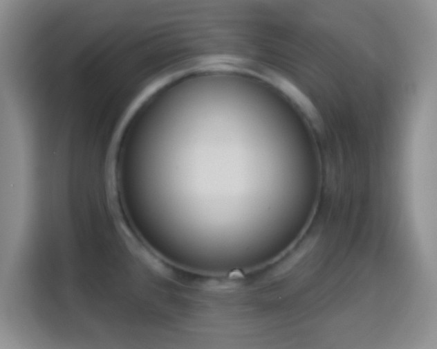 X0000113941384200910021253