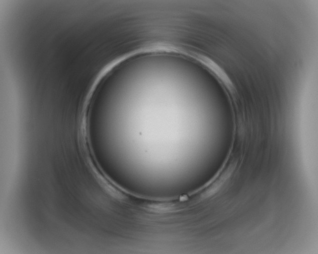 X0000113941388200910021253