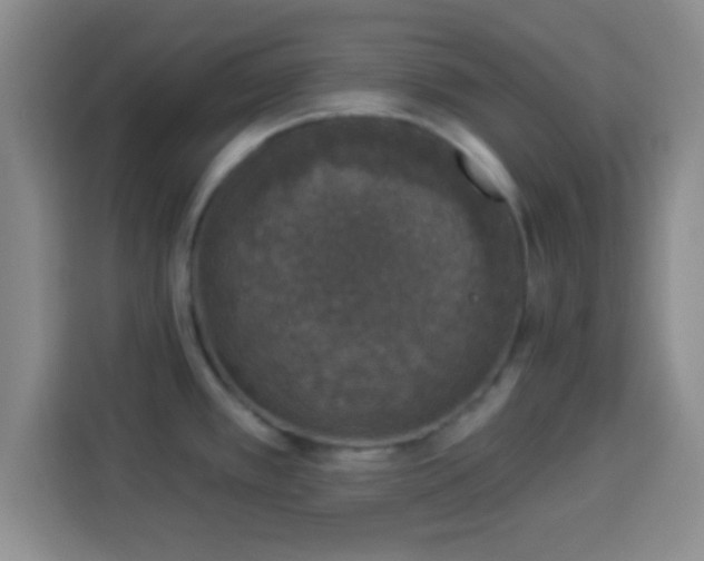 X0000113941389200910021253