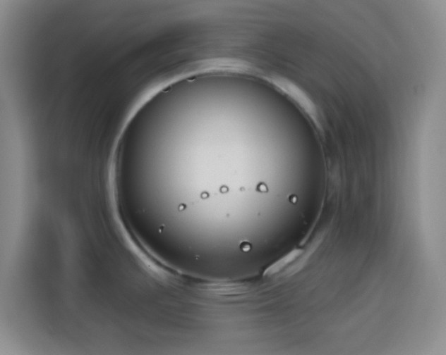 X0000113941391200910021253