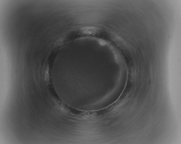 X0000113941394200910021253