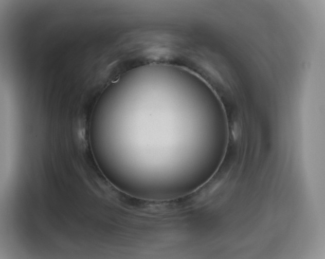 X0000113941396200910021253