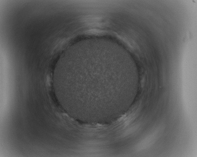 X0000113941397200910021253