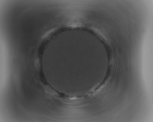 X0000113941398200910021253