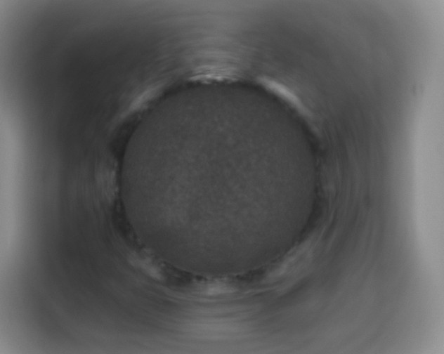 X0000113941399200910021253