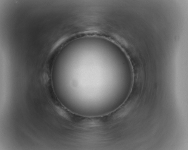 X0000113941400200910021253