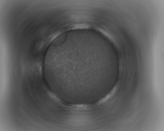 X0000113941401200910021253