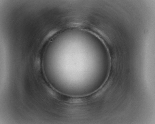 X0000113941402200910021253