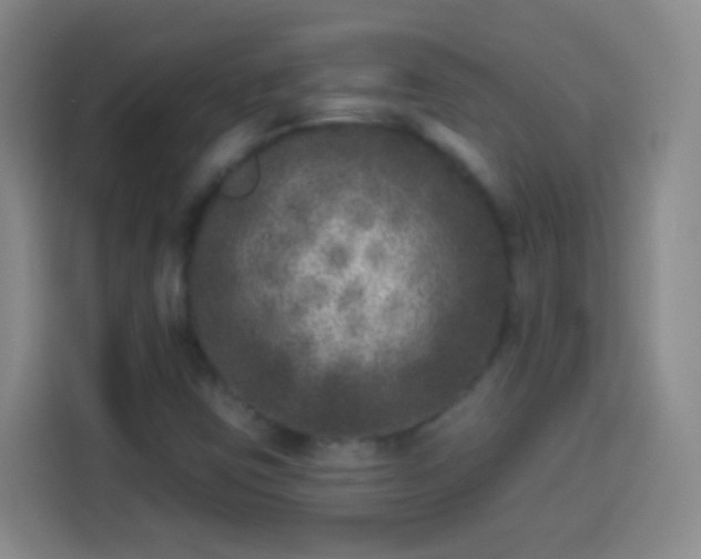 X0000113941403200910021253