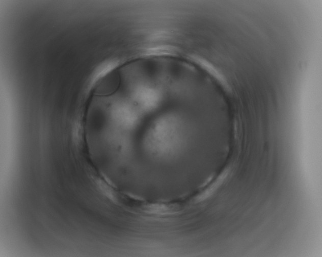 X0000113941405200910021253