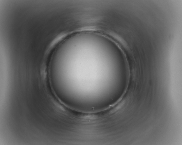 X0000113941406200910021253