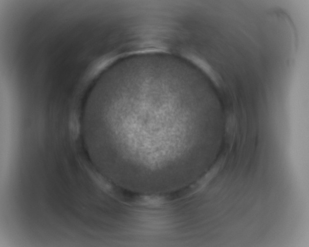 X0000113941407200910021253