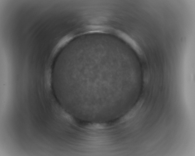 X0000113941411200910021253