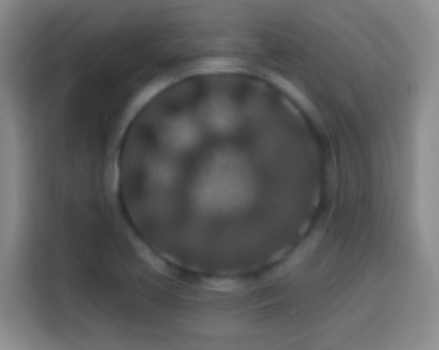 X0000113941413200910021253