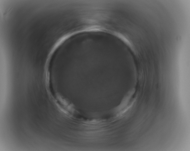 X0000113941414200910021253