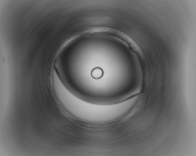 X0000113941417200910021253