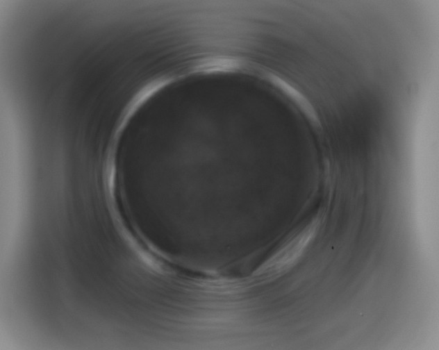 X0000113941418200910021253