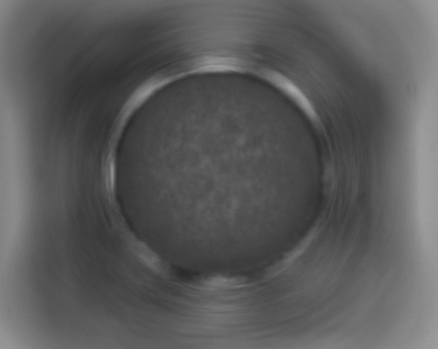 X0000113941419200910021253