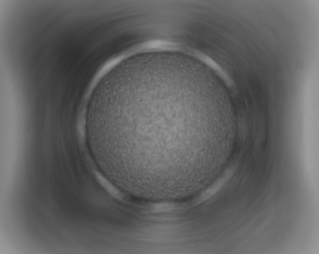 X0000113941421200910021253