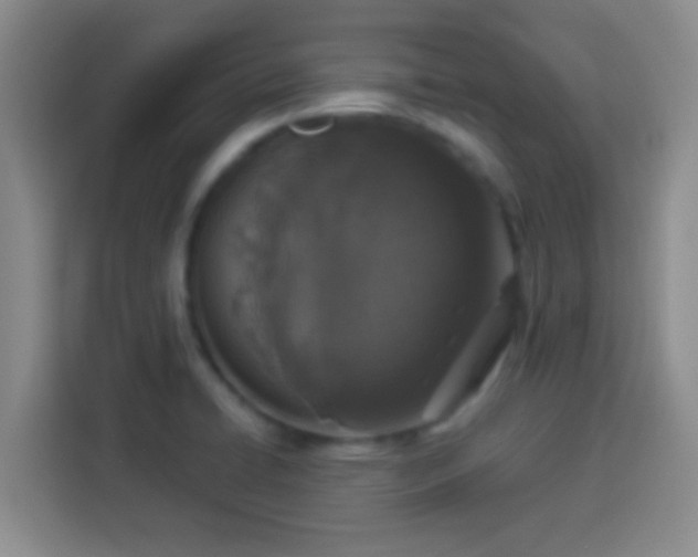 X0000113941422200910021253