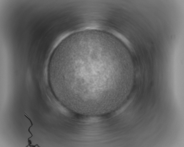 X0000113941423200910021253