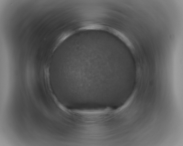 X0000113941425200910021253