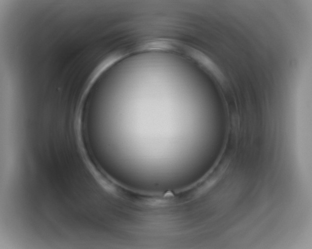 X0000113941426200910021253