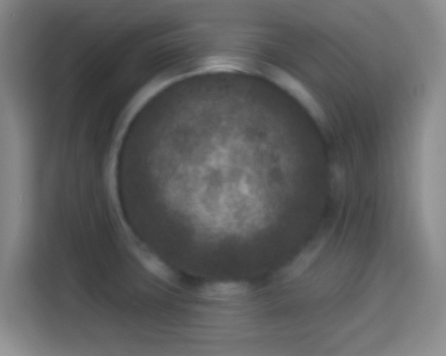 X0000113941427200910021253