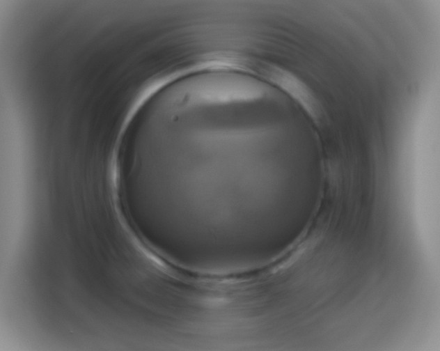 X0000113941428200910021253