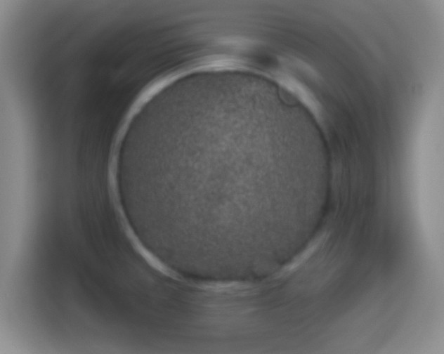 X0000113941429200910021253