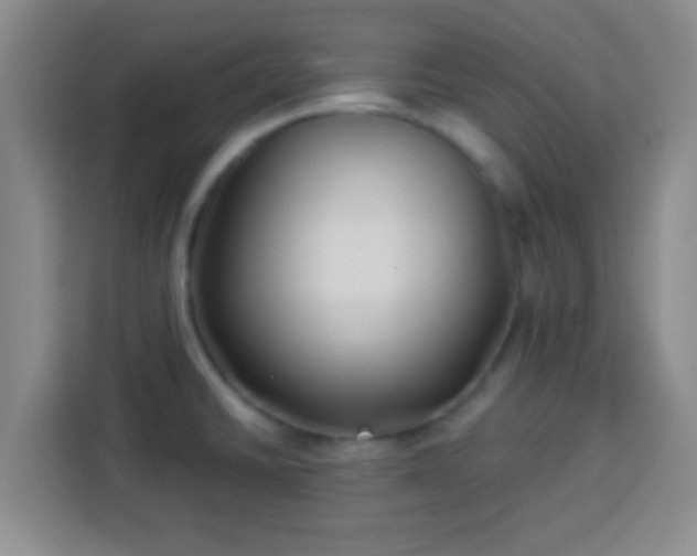 X0000113941430200910021253