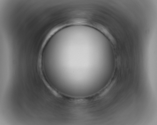 X0000113941432200910021253