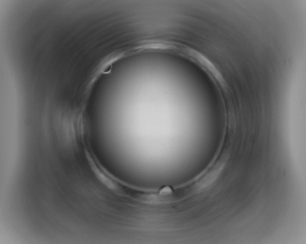 X0000113941433200910021253