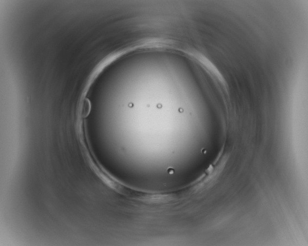 X0000113941437200910021253