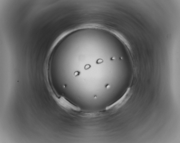 X0000113941438200910021253