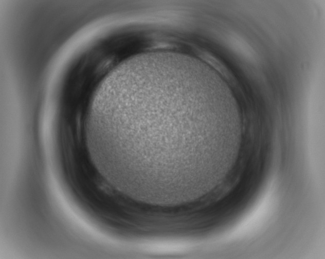 X0000113941439200910021253