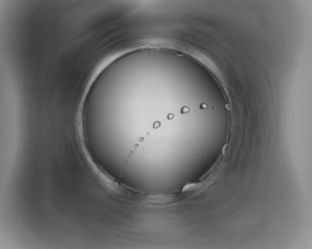 X0000113941440200910021253