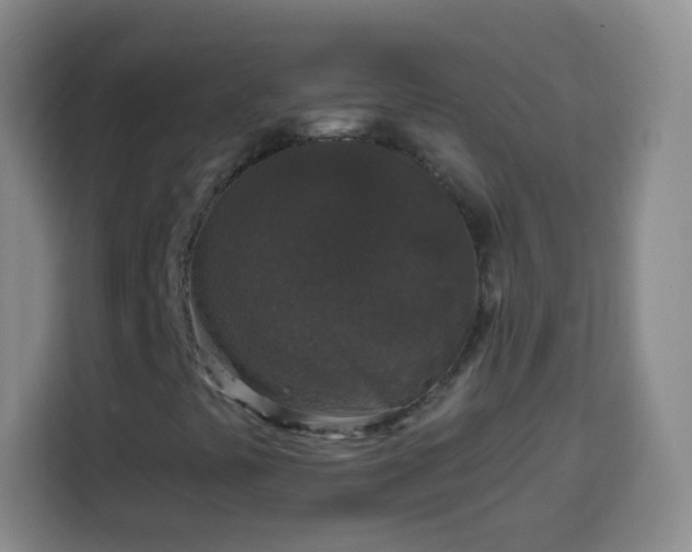 X0000113941441200910021253