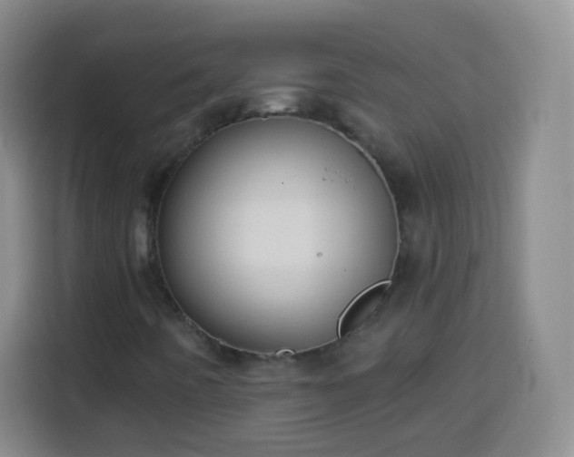 X0000113941442200910021253