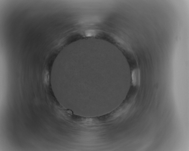 X0000113941443200910021253