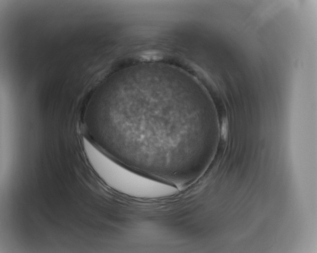 X0000113941444200910021253