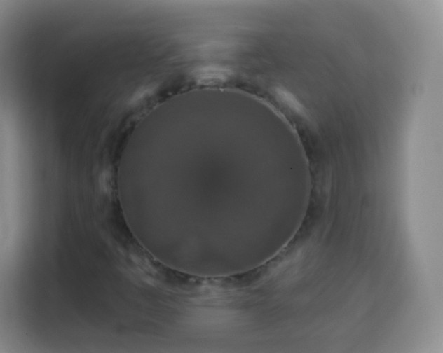 X0000113941445200910021253