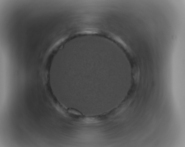 X0000113941448200910021253