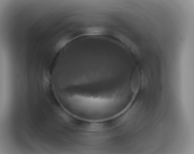 X0000113941449200910021253