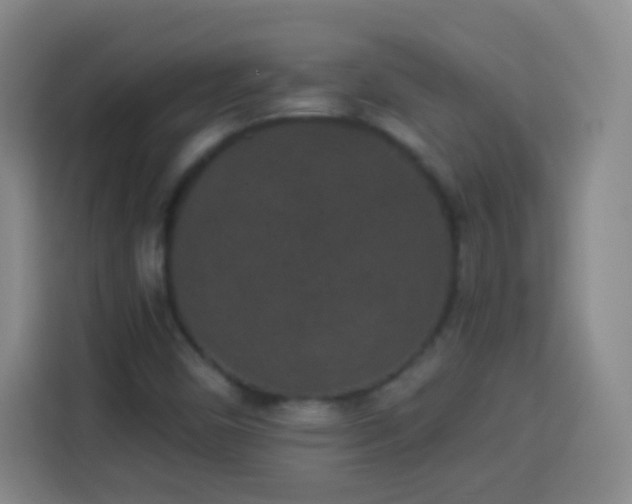 X0000113941450200910021253