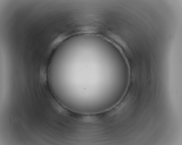 X0000113941451200910021253